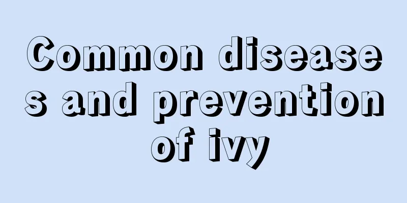 Common diseases and prevention of ivy