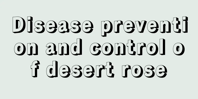 Disease prevention and control of desert rose