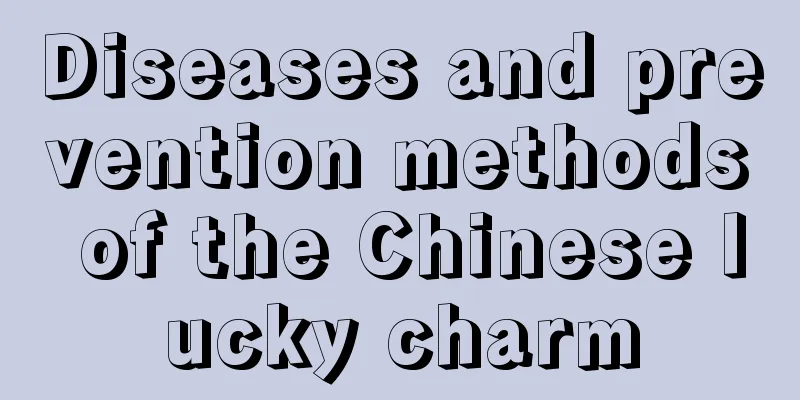 Diseases and prevention methods of the Chinese lucky charm