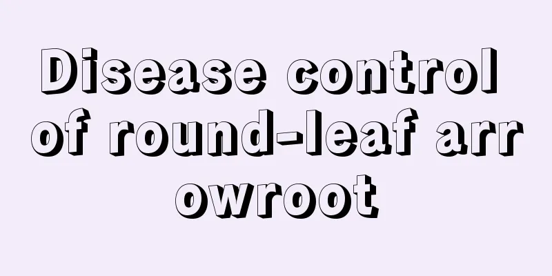 Disease control of round-leaf arrowroot