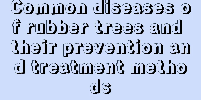 Common diseases of rubber trees and their prevention and treatment methods