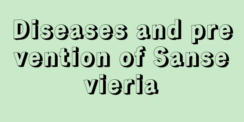 Diseases and prevention of Sansevieria