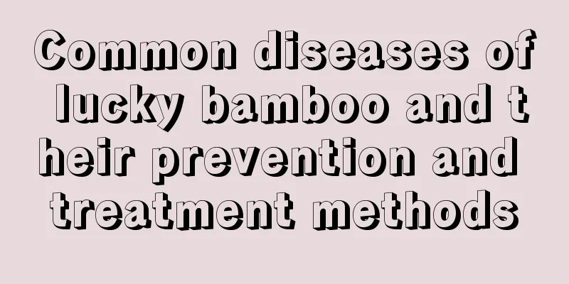 Common diseases of lucky bamboo and their prevention and treatment methods