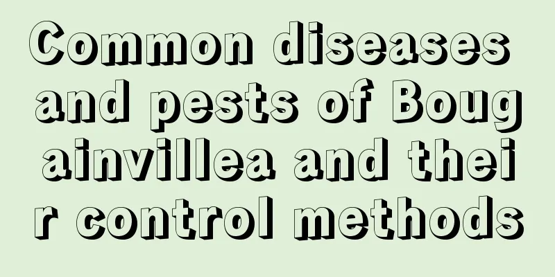 Common diseases and pests of Bougainvillea and their control methods