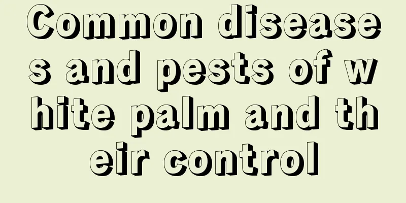 Common diseases and pests of white palm and their control