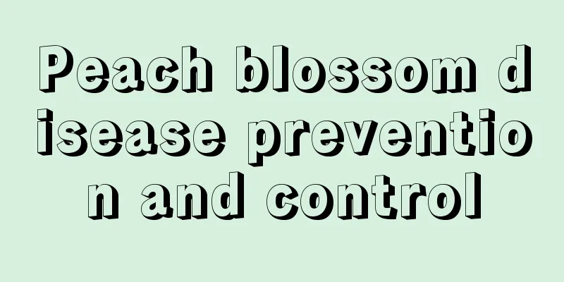 Peach blossom disease prevention and control