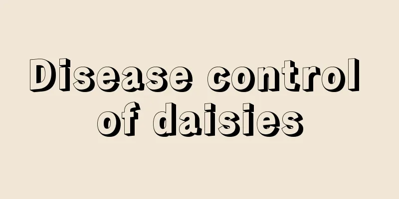 Disease control of daisies