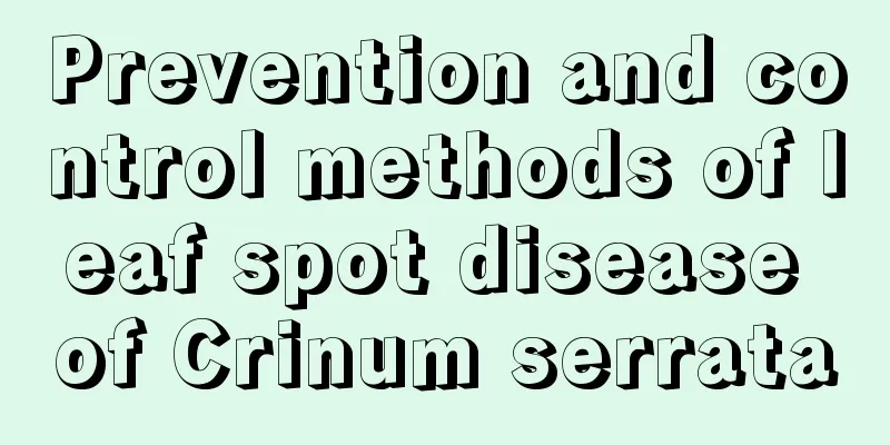 Prevention and control methods of leaf spot disease of Crinum serrata