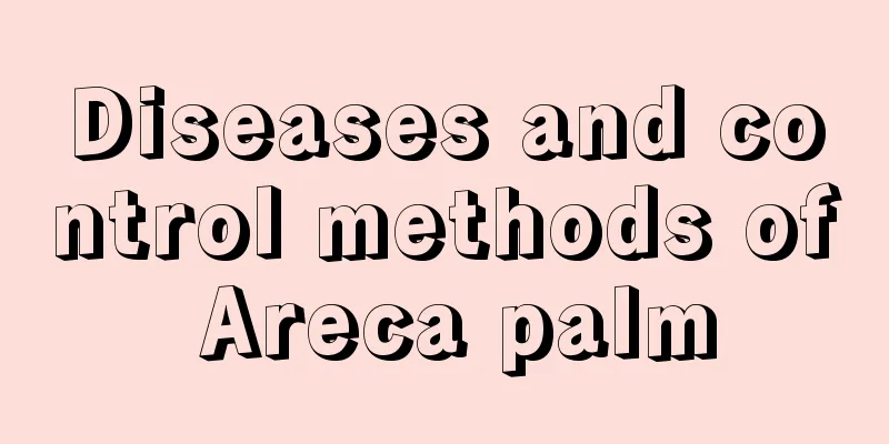 Diseases and control methods of Areca palm