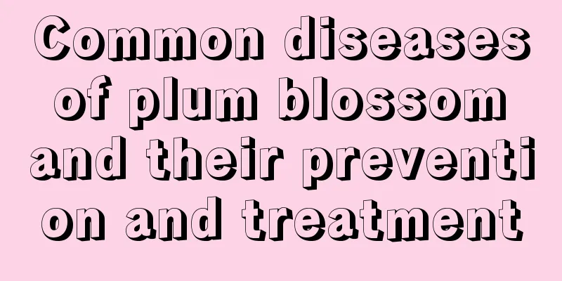 Common diseases of plum blossom and their prevention and treatment