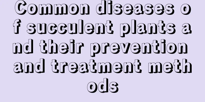 Common diseases of succulent plants and their prevention and treatment methods