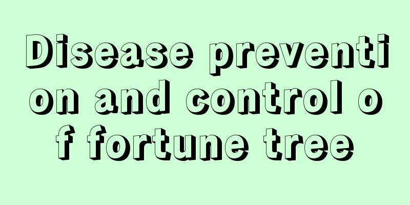 Disease prevention and control of fortune tree