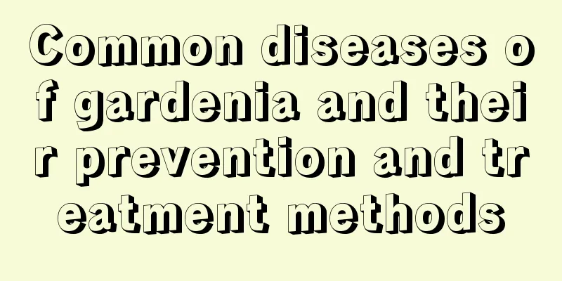 Common diseases of gardenia and their prevention and treatment methods