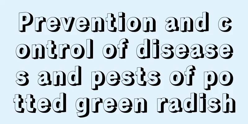 Prevention and control of diseases and pests of potted green radish