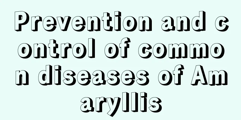 Prevention and control of common diseases of Amaryllis