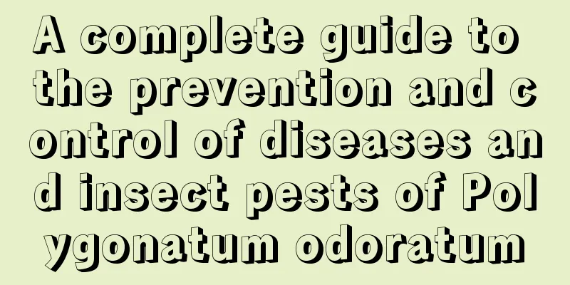 A complete guide to the prevention and control of diseases and insect pests of Polygonatum odoratum