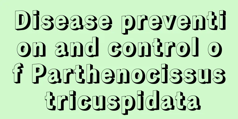 Disease prevention and control of Parthenocissus tricuspidata