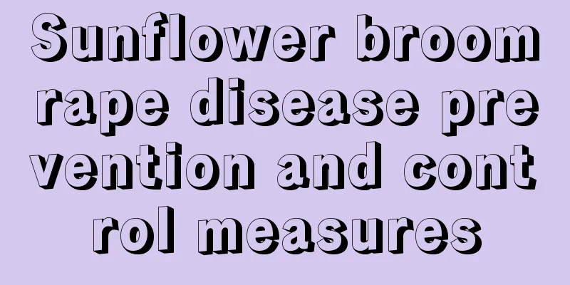 Sunflower broomrape disease prevention and control measures