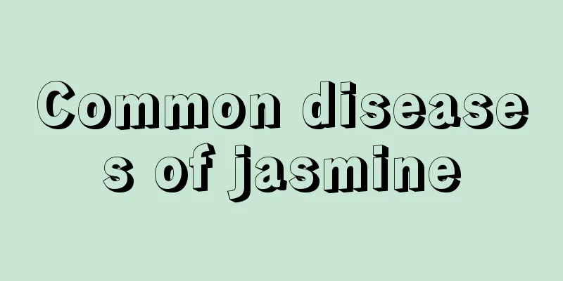 Common diseases of jasmine