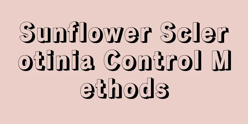 Sunflower Sclerotinia Control Methods