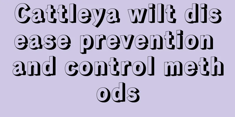 Cattleya wilt disease prevention and control methods