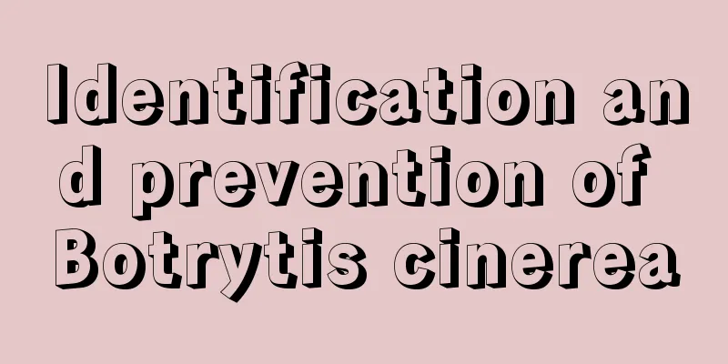 Identification and prevention of Botrytis cinerea