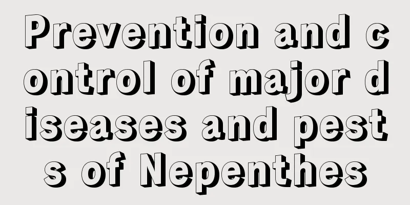 Prevention and control of major diseases and pests of Nepenthes