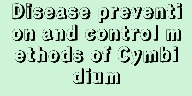 Disease prevention and control methods of Cymbidium