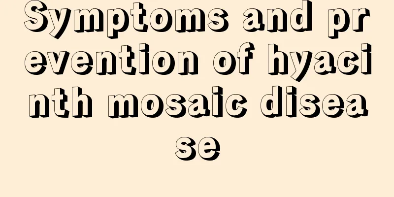 Symptoms and prevention of hyacinth mosaic disease