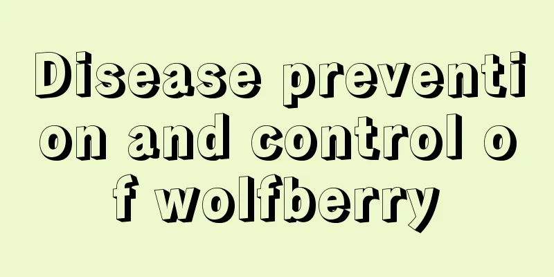 Disease prevention and control of wolfberry