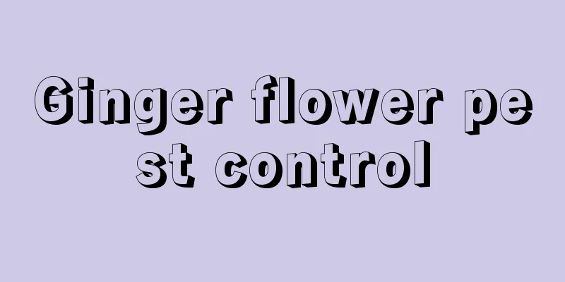 Ginger flower pest control