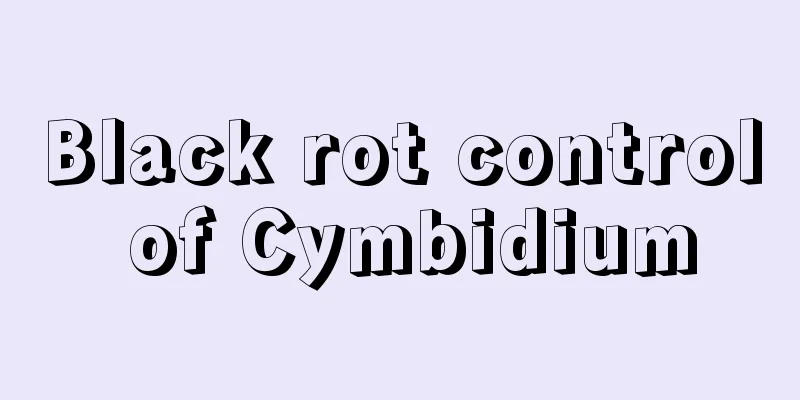 Black rot control of Cymbidium