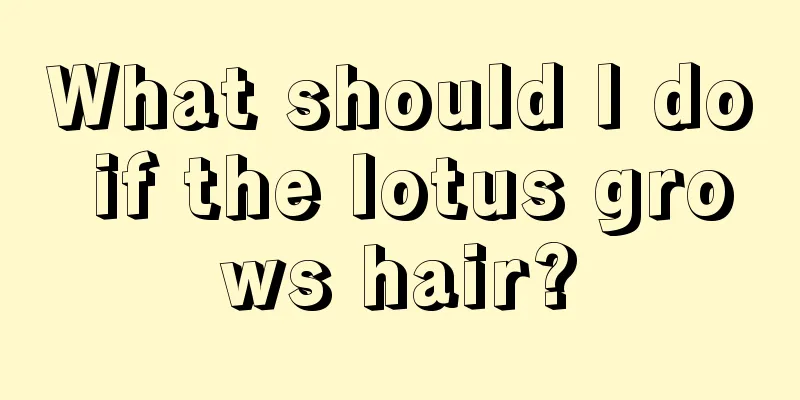 What should I do if the lotus grows hair?