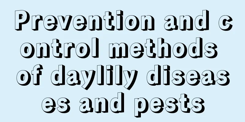 Prevention and control methods of daylily diseases and pests