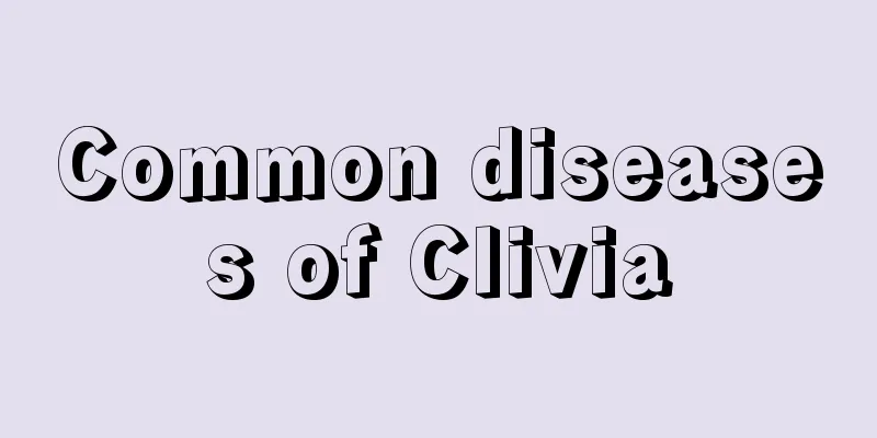 Common diseases of Clivia