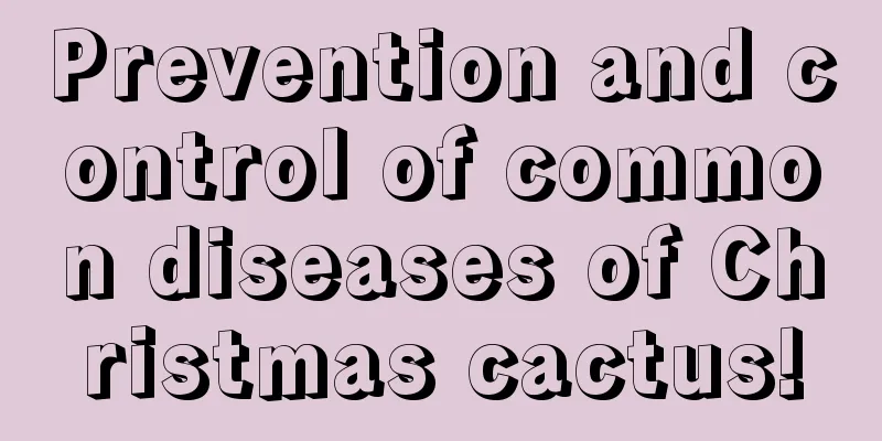 Prevention and control of common diseases of Christmas cactus!