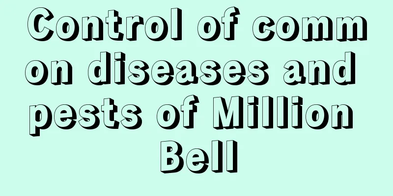 Control of common diseases and pests of Million Bell