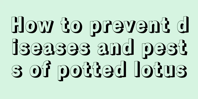 How to prevent diseases and pests of potted lotus