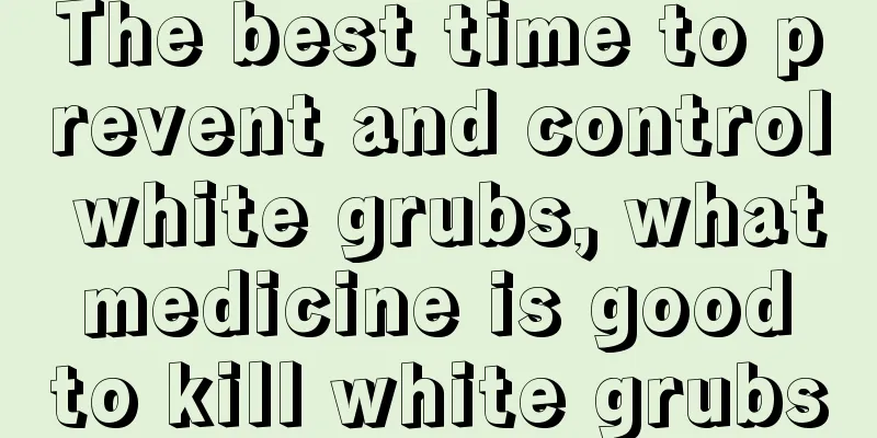 The best time to prevent and control white grubs, what medicine is good to kill white grubs