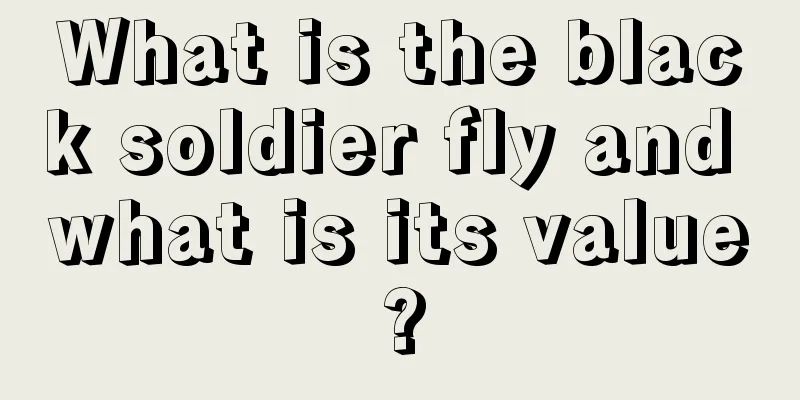 What is the black soldier fly and what is its value?