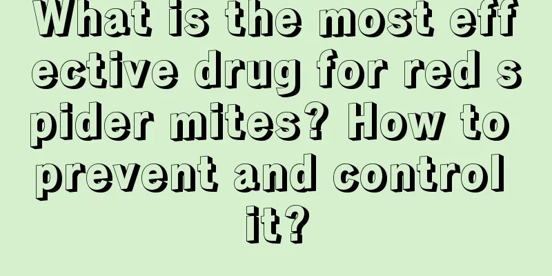 What is the most effective drug for red spider mites? How to prevent and control it?