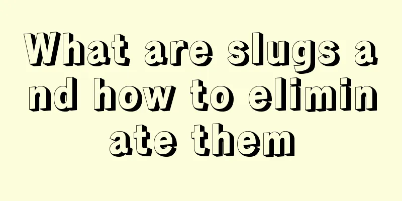 What are slugs and how to eliminate them