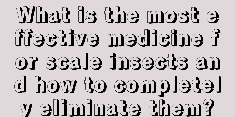 What is the most effective medicine for scale insects and how to completely eliminate them?