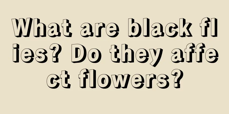 What are black flies? Do they affect flowers?