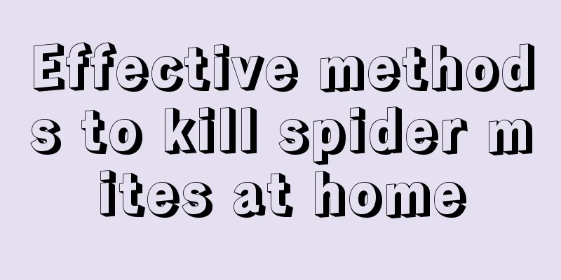 Effective methods to kill spider mites at home