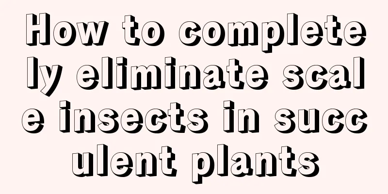 How to completely eliminate scale insects in succulent plants