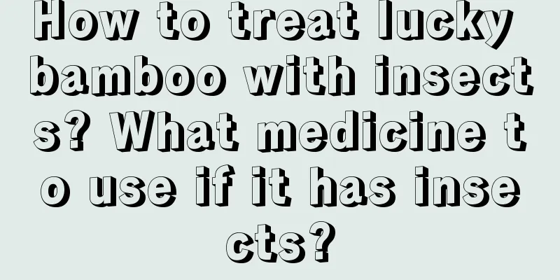 How to treat lucky bamboo with insects? What medicine to use if it has insects?