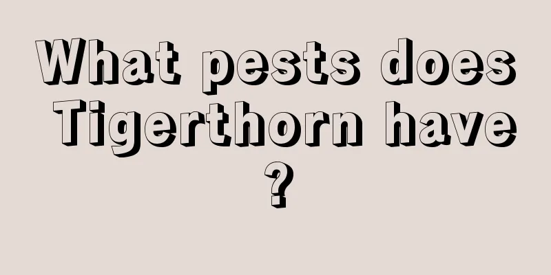 What pests does Tigerthorn have?