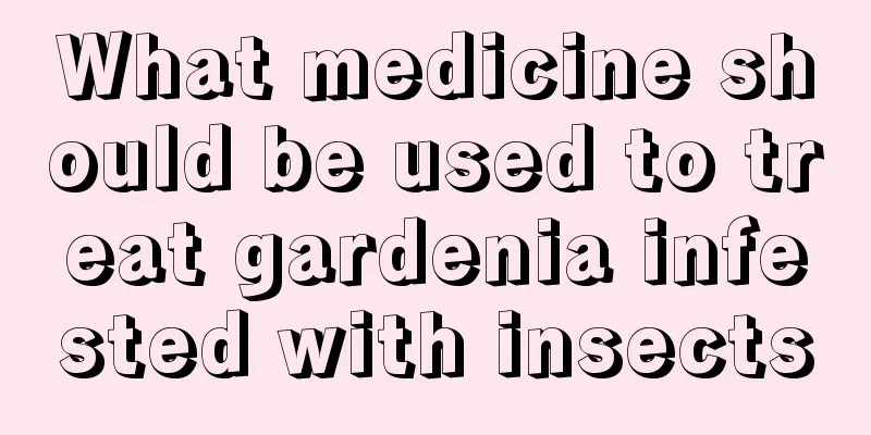 What medicine should be used to treat gardenia infested with insects