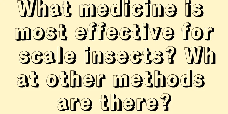 What medicine is most effective for scale insects? What other methods are there?